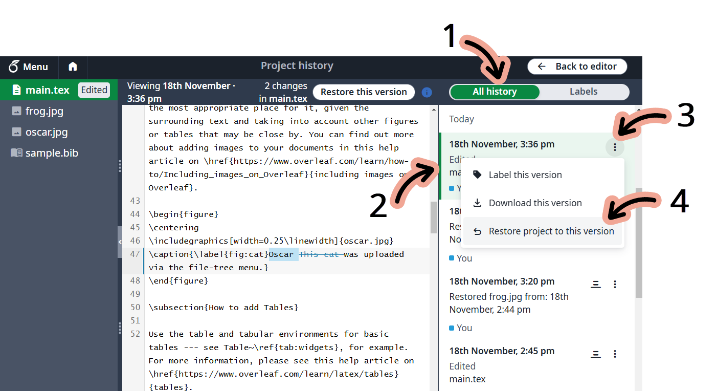 How to restore an Overleaf project version